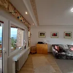 Haus Rheintalblick 萨巴赫瓦登