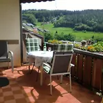 Haus Rheintalblick 萨巴赫瓦登