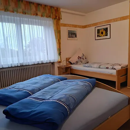 Haus Rheintalblick Apartment