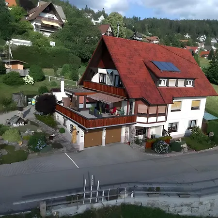 公寓 Haus Rheintalblick 萨巴赫瓦登