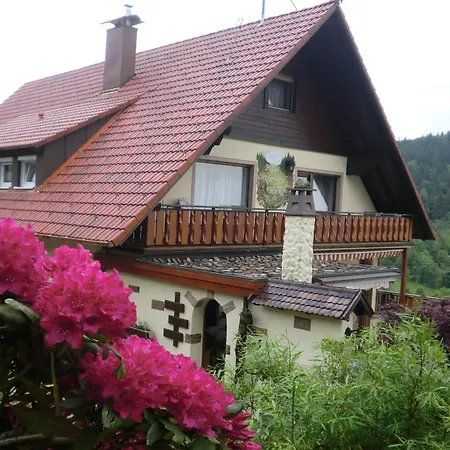 Haus Rheintalblick 公寓 萨巴赫瓦登