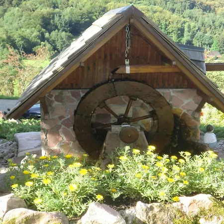 Haus Rheintalblick 公寓