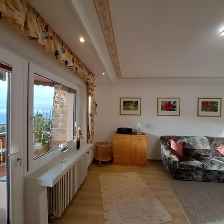 Haus Rheintalblick 萨巴赫瓦登