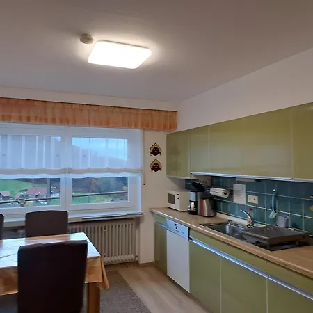 公寓 Haus Rheintalblick 萨巴赫瓦登