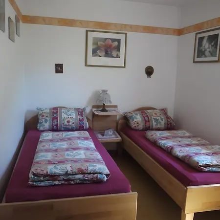 公寓 Haus Rheintalblick 萨巴赫瓦登