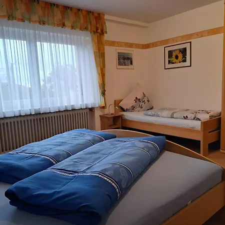 公寓 Haus Rheintalblick 萨巴赫瓦登